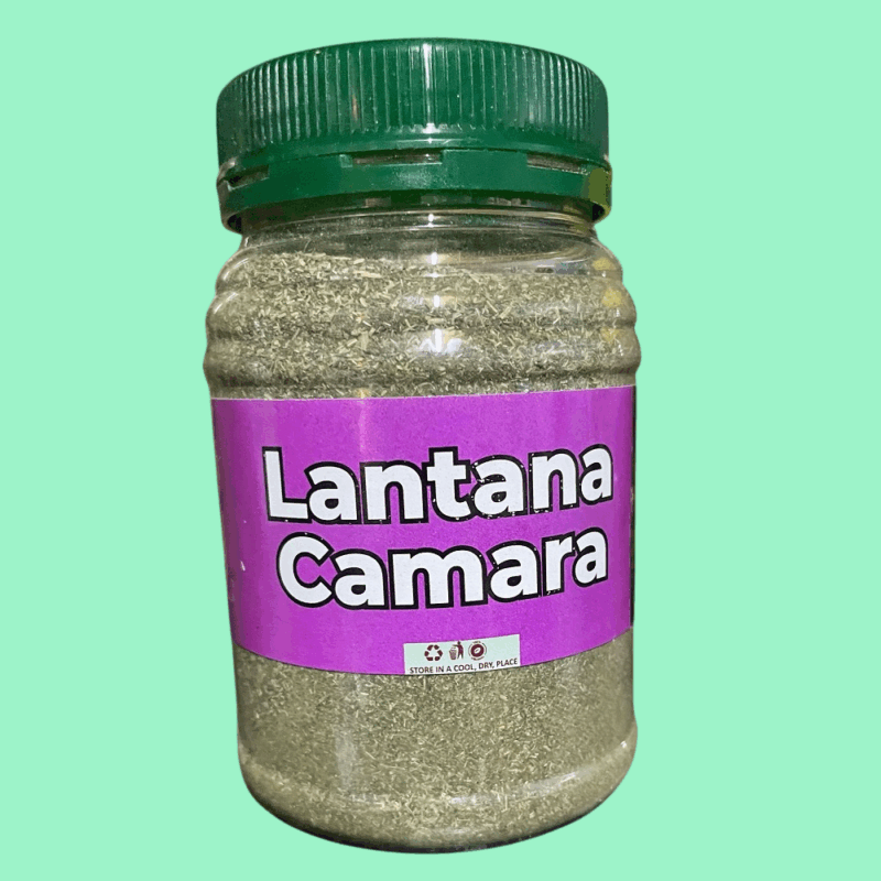 Lantana Camara herbal powder is a natural remedy with anti-inflammatory, antimicrobial, and antioxidant benefits